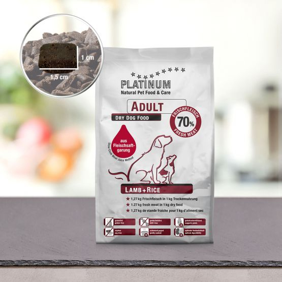Platinum Adult Lamb + Reis