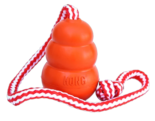 KONG Aqua