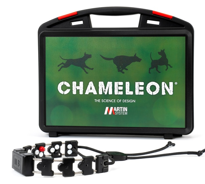 Chameleon® 3-B Empfänger large + charging kid