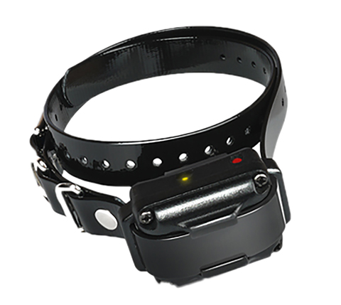 DOGTRA IQ receiver