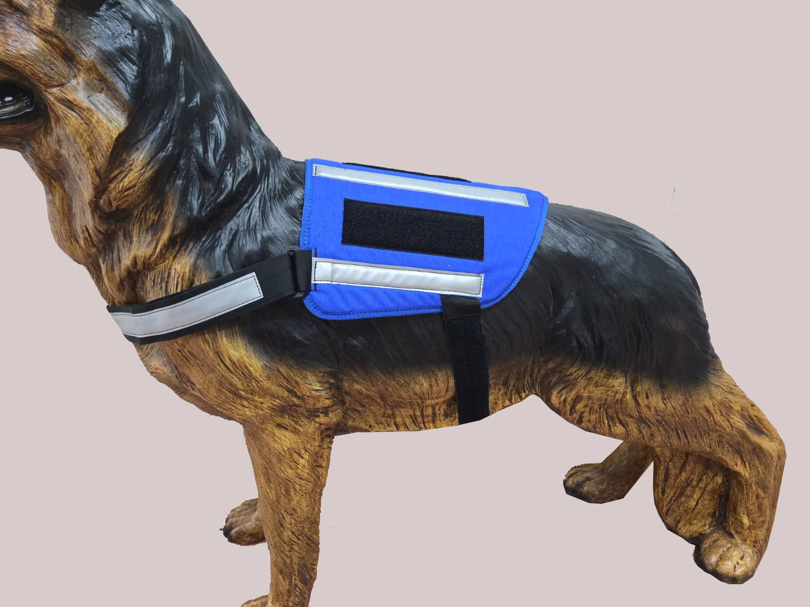 Kenngeschirr royalblau mit Reflex