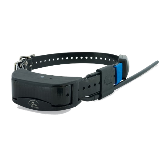 Sportdog Halsband TEK 2.0 GPS und Training