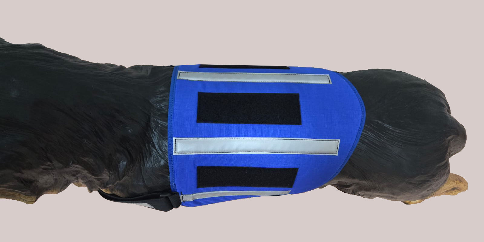 Kenngeschirr royalblau mit Reflex