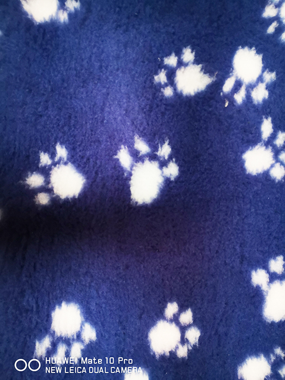 Dry Bed 145 x 100 cm marine mit Pfotenmuster