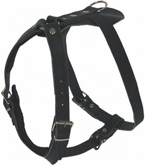 Arbeitsgeschirr  60-80cm