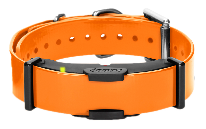 Dogtra ARC 800 Empfänger