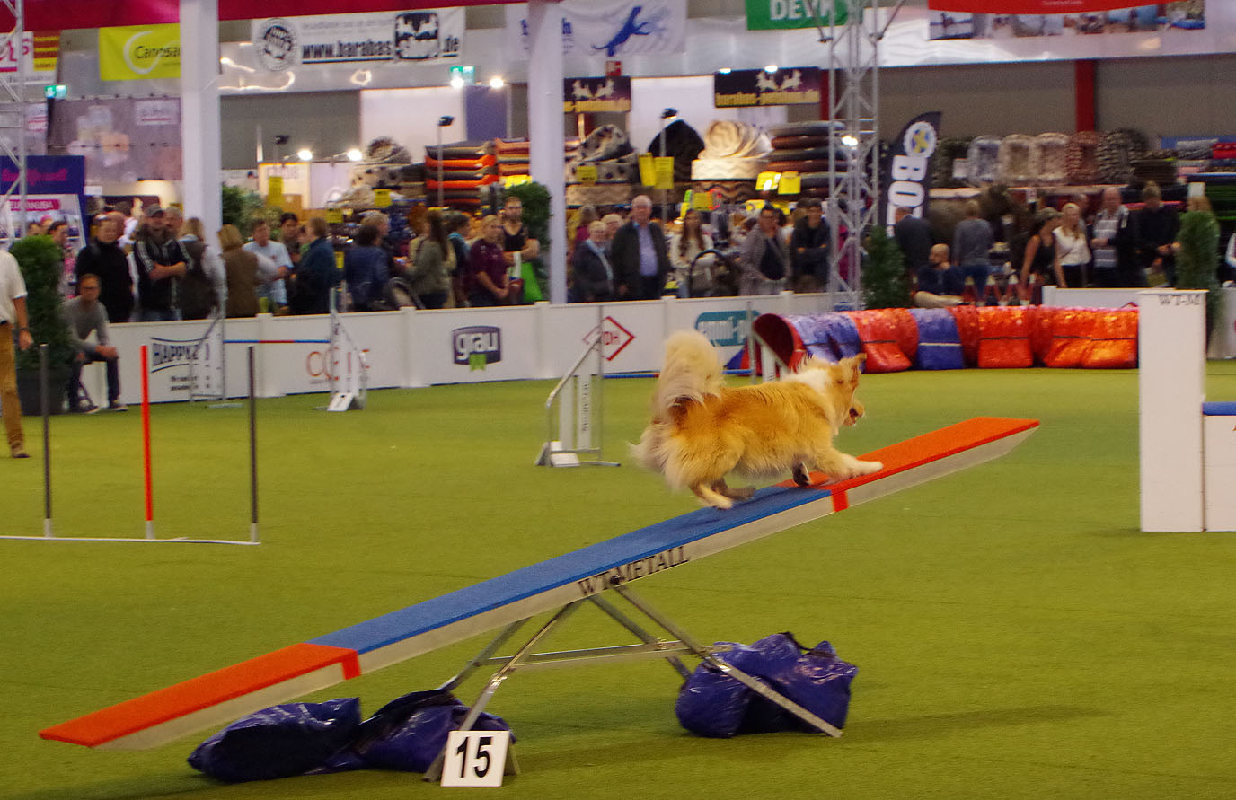 Aluminum and Tartan Agility Swing