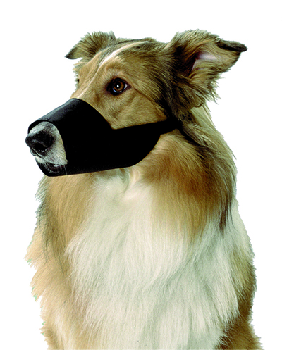 Maulkorb Nylon