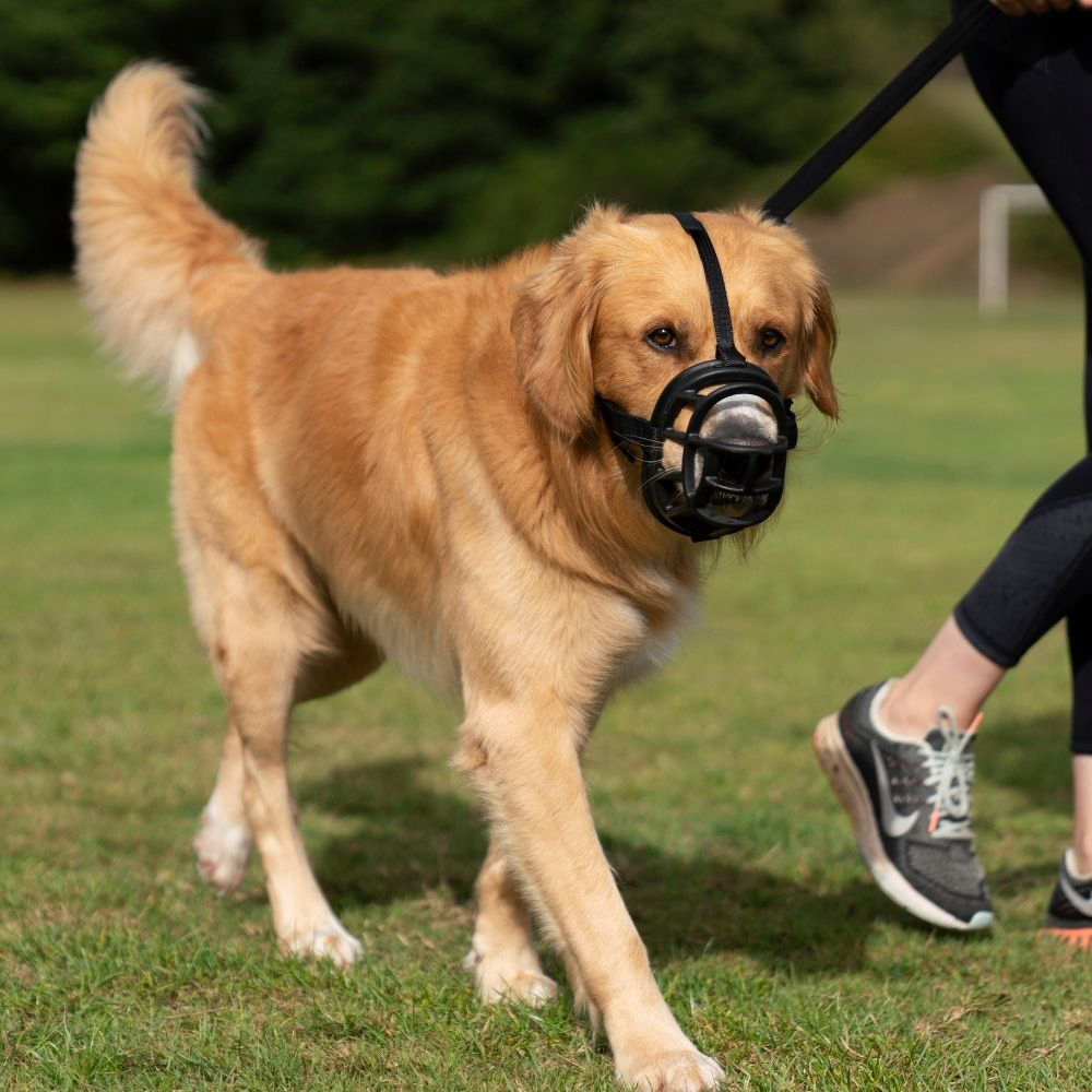Baskerville Ultra Muzzle Size 5