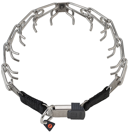 Dressurkette Edelstahl  mit Gurt u.Schnell