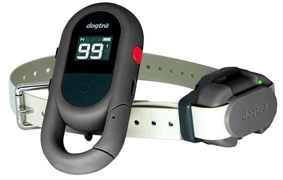DOGTRA  IQ FLEX