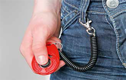 Speed Clicker
