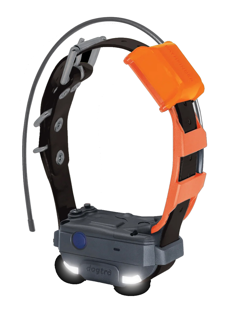 Dogtra Pathfinder II MINI