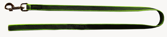 Leine gummiert grün 20mm 100cm m.HS.