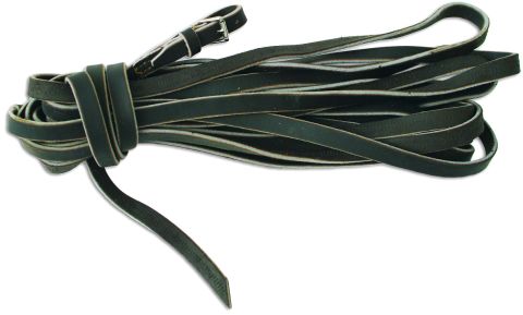 Tracking Leash 10m 16mm brown
