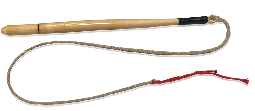Whip cane reed 40cm
