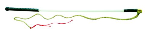 Whip plastic