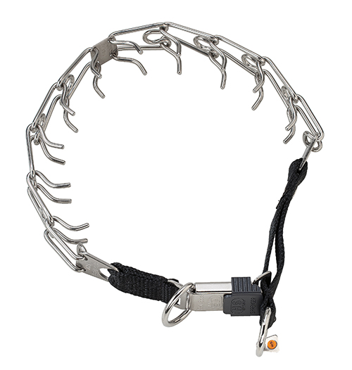 Dressurkette Edelstahl Gurtz.u. Schnell
