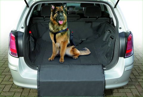 Car Safe Deluxe