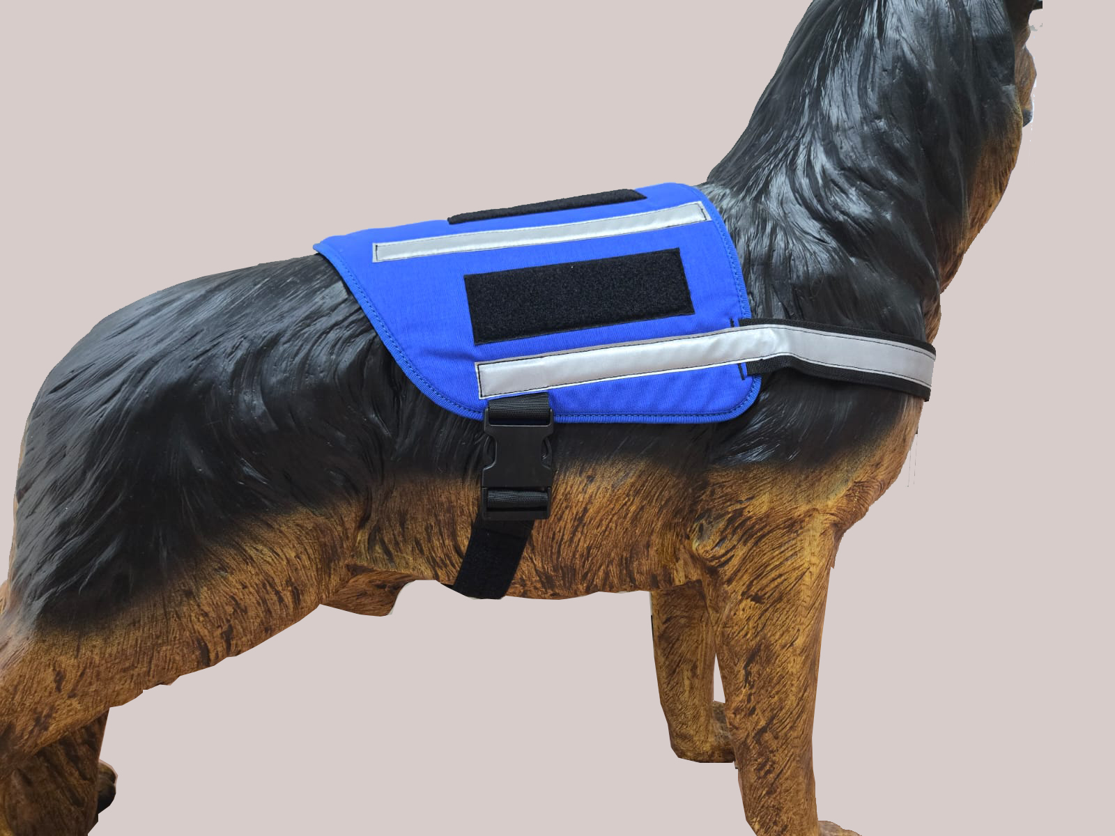 Kenngeschirr royalblau mit Reflex