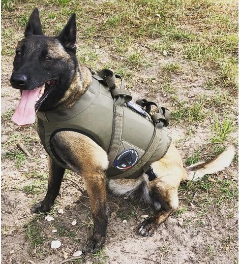 Ballistic protection harness with knife guard flot