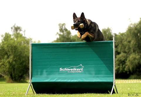 Foldable training jump