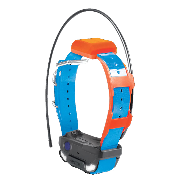 Dogtra Pathfinder II Zusatzhalsband blau
