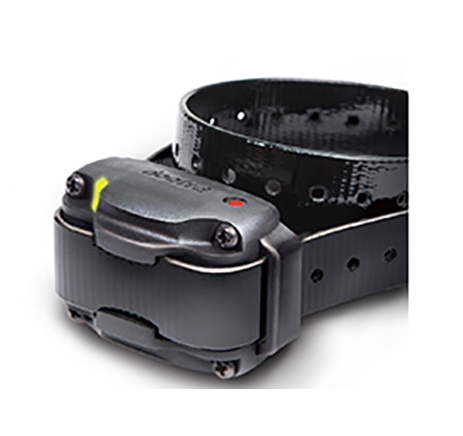 DOGTRA 610 C Empfänger