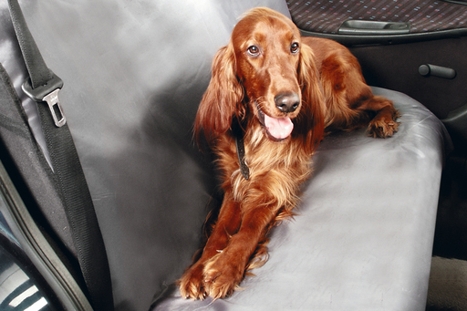 Autoschondecke Car Guard