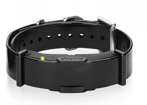 Attrappe - Dogtra ARC 800
