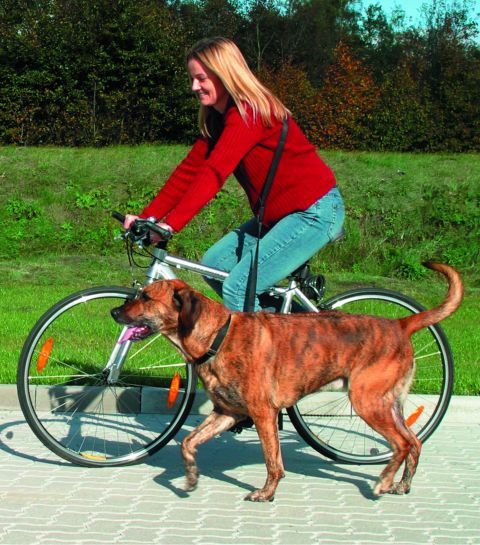 Fahrrad- und Joggingleine, 1,00-2,00m 25mm