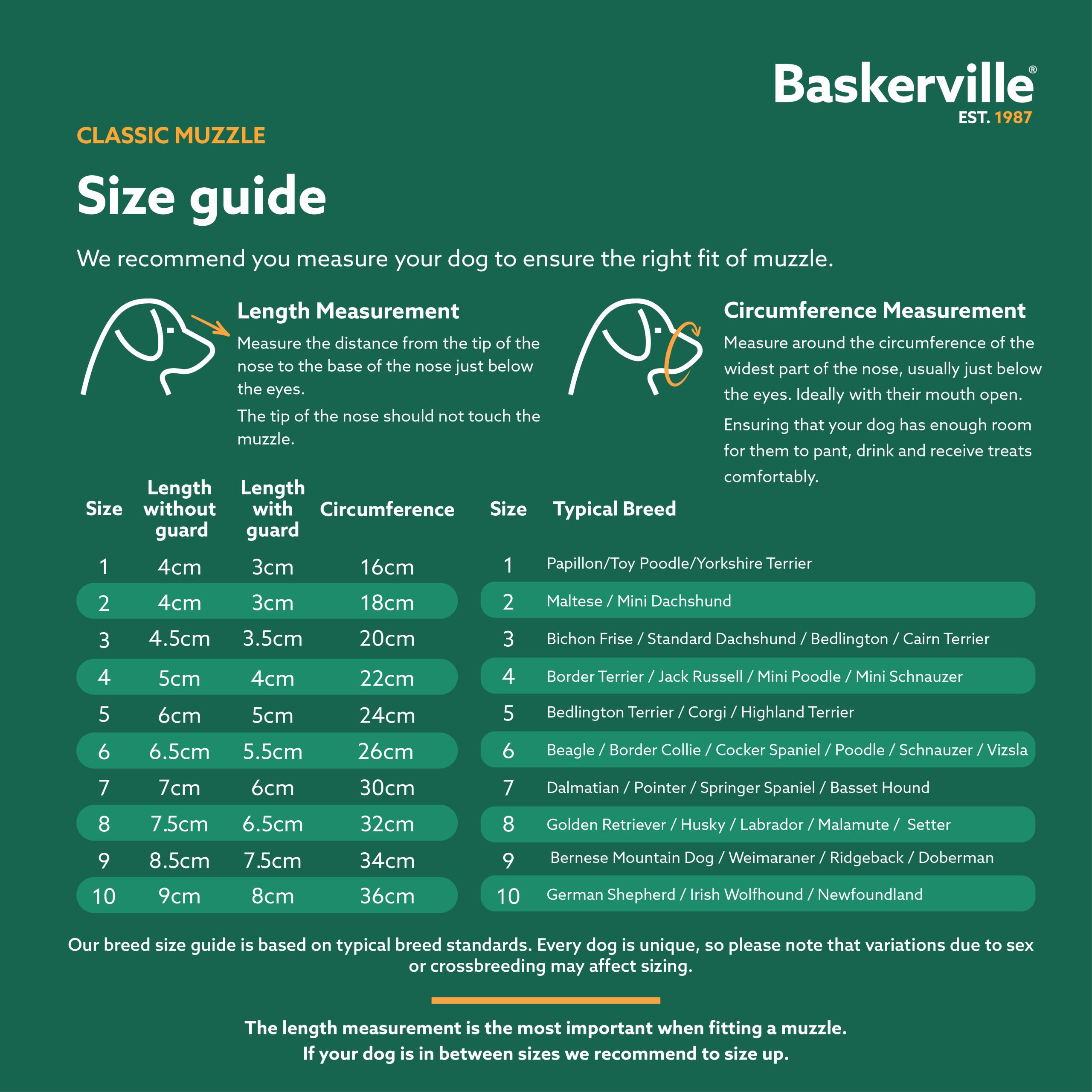 Baskerville Muzzle Classic Size  9